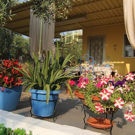 Joanna'S House Skala Kallirachis Exterior foto